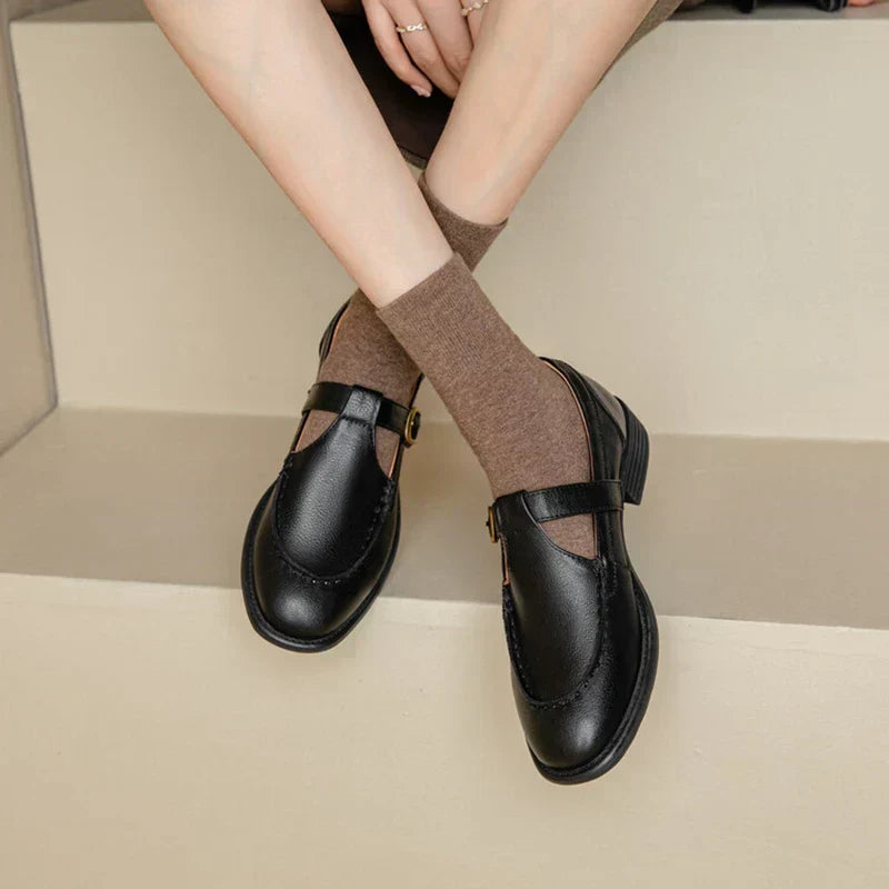 Retro T-Strap Mary Jane Shoes Round Toe Low Heel