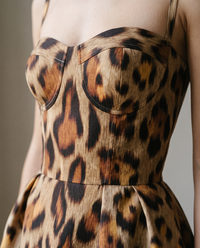 Leopard Midi Dress, close-up of the bustier seams and print